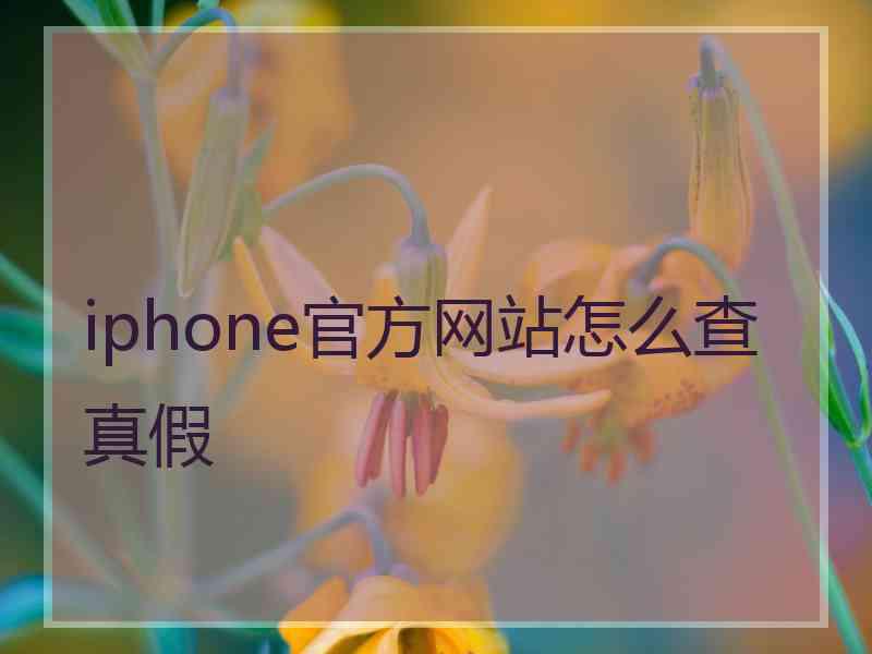 iphone官方网站怎么查真假