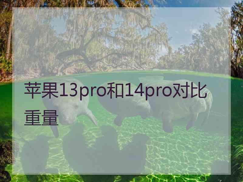 苹果13pro和14pro对比重量