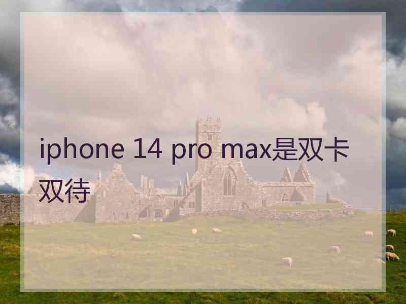 iphone 14 pro max是双卡双待