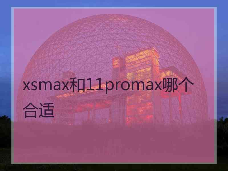 xsmax和11promax哪个合适