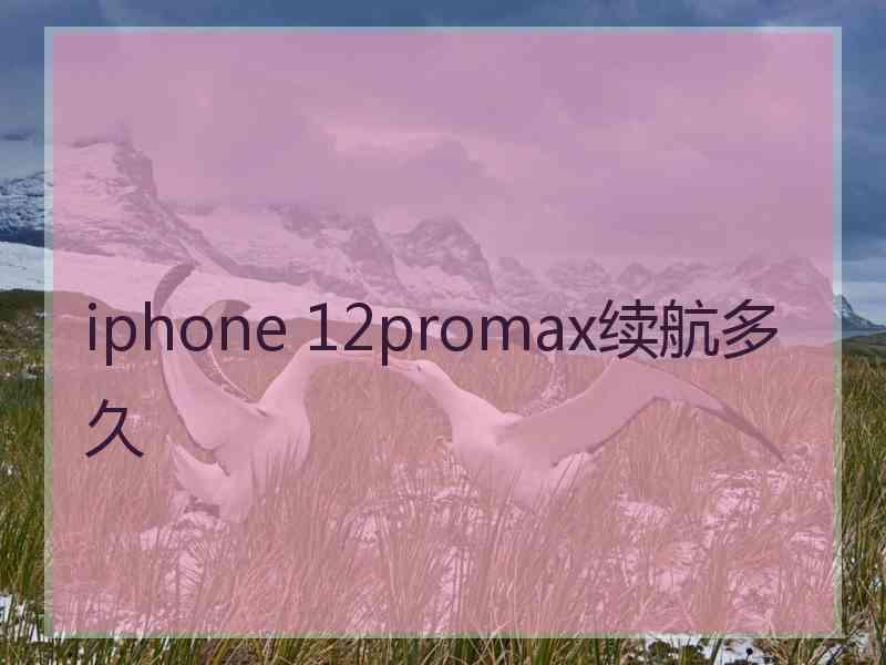 iphone 12promax续航多久