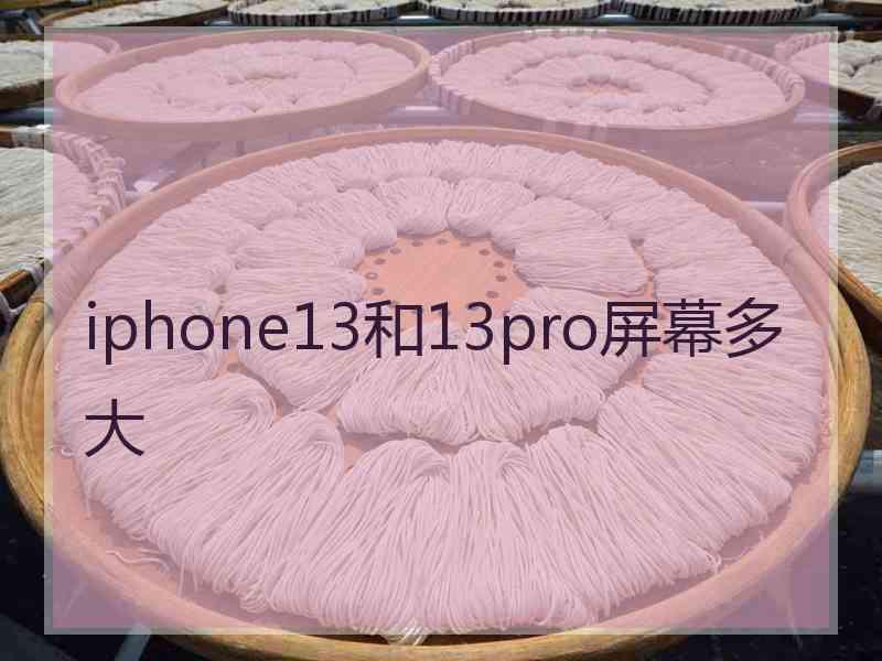 iphone13和13pro屏幕多大