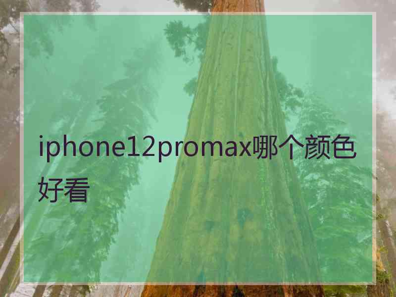 iphone12promax哪个颜色好看