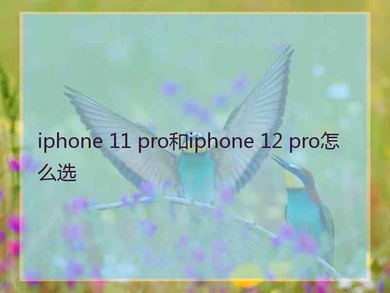 iphone 11 pro和iphone 12 pro怎么选