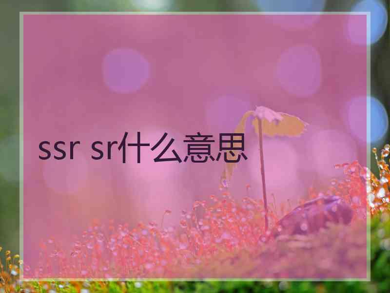 ssr sr什么意思