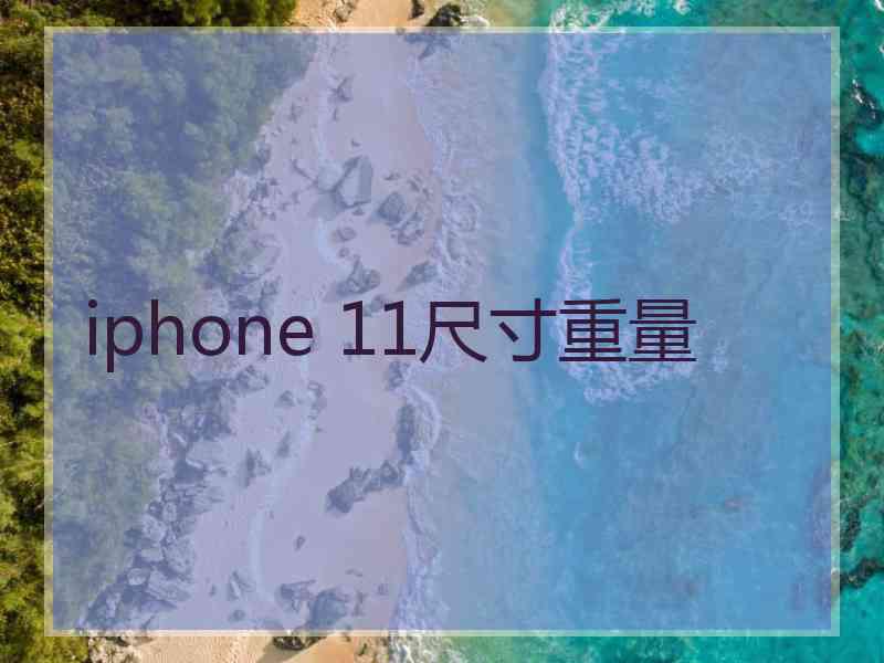 iphone 11尺寸重量