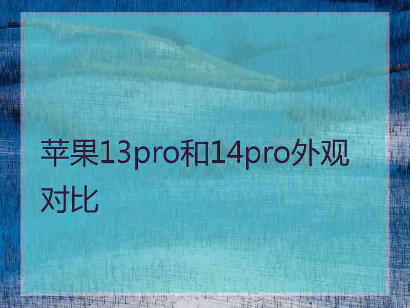 苹果13pro和14pro外观对比