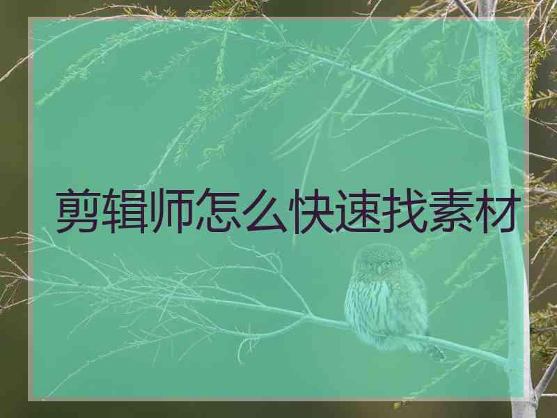 剪辑师怎么快速找素材