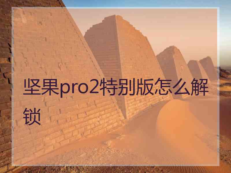 坚果pro2特别版怎么解锁