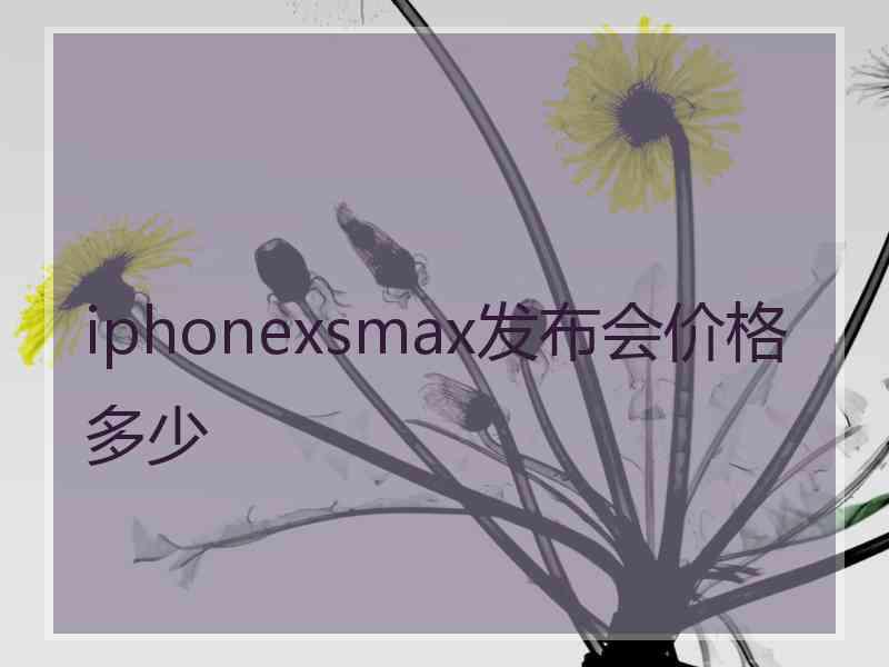 iphonexsmax发布会价格多少