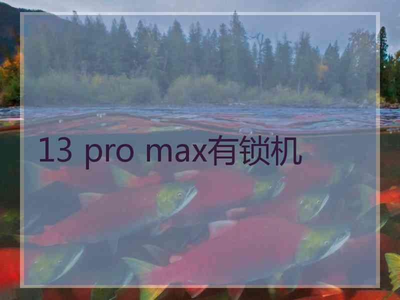 13 pro max有锁机