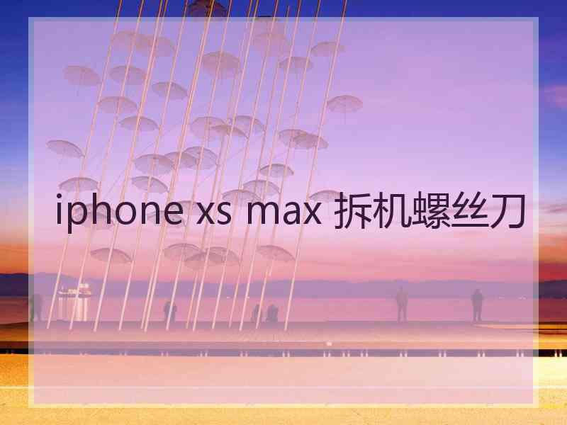 iphone xs max 拆机螺丝刀