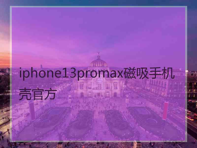 iphone13promax磁吸手机壳官方