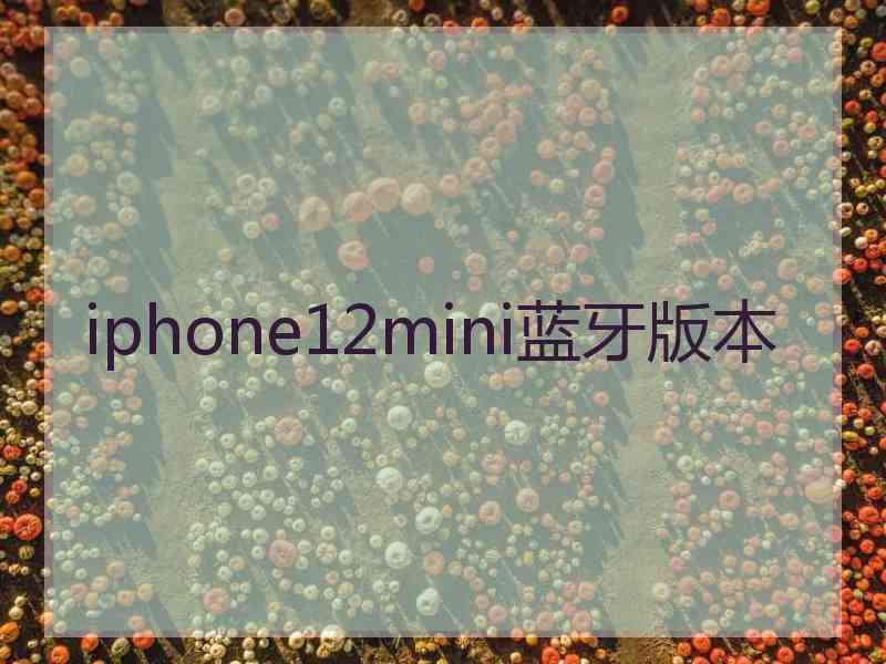 iphone12mini蓝牙版本