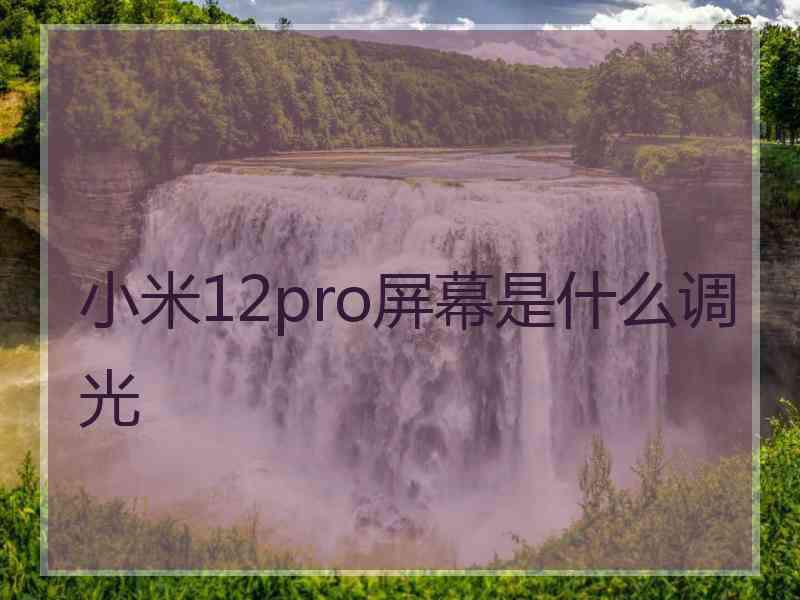 小米12pro屏幕是什么调光