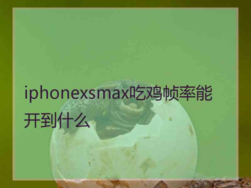 iphonexsmax吃鸡帧率能开到什么