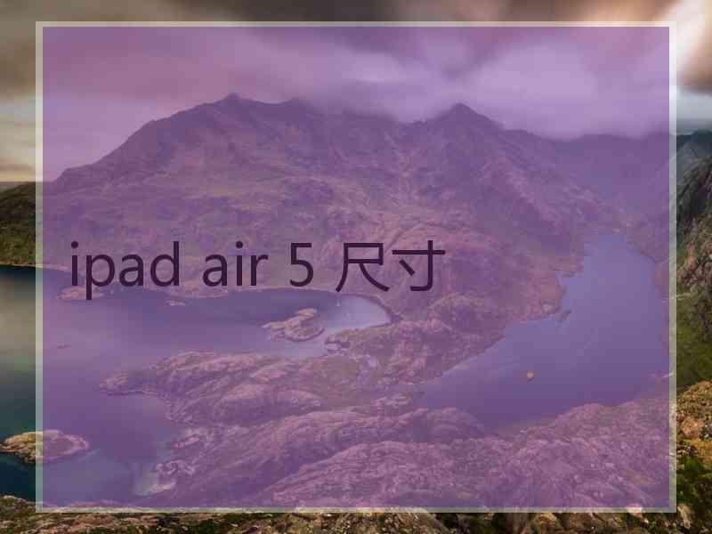 ipad air 5 尺寸