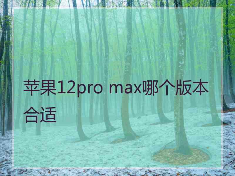 苹果12pro max哪个版本合适