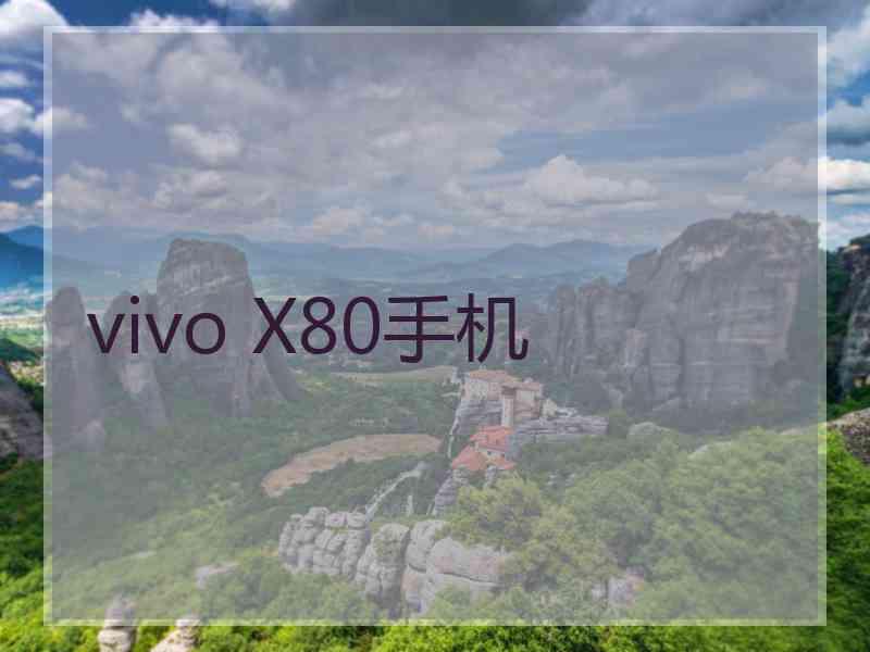 vivo X80手机