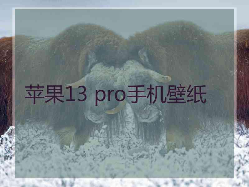 苹果13 pro手机壁纸