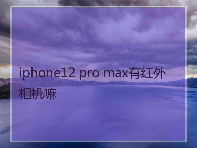 iphone12 pro max有红外相机嘛