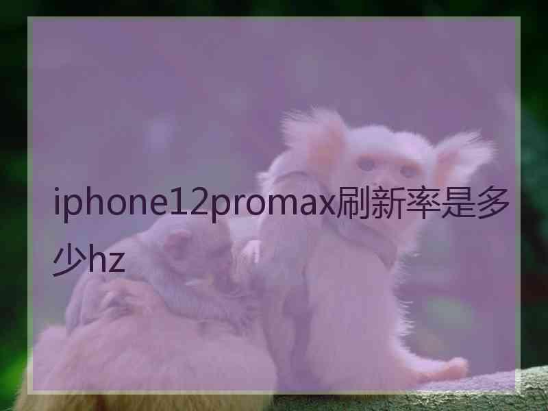 iphone12promax刷新率是多少hz