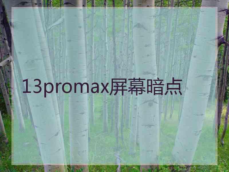 13promax屏幕暗点