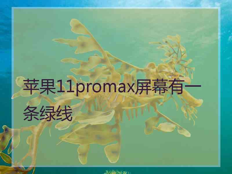 苹果11promax屏幕有一条绿线