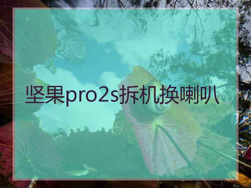 坚果pro2s拆机换喇叭