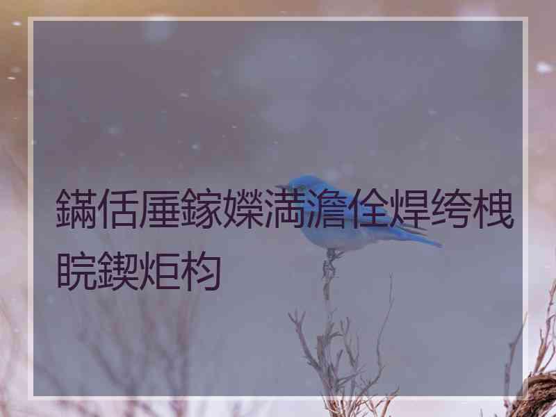 鏋佸厜鎵嬫満澹佺焊绔栧睆鍥炬枃