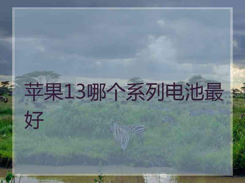 苹果13哪个系列电池最好