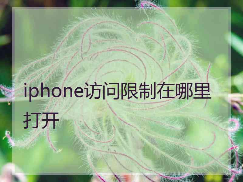 iphone访问限制在哪里打开