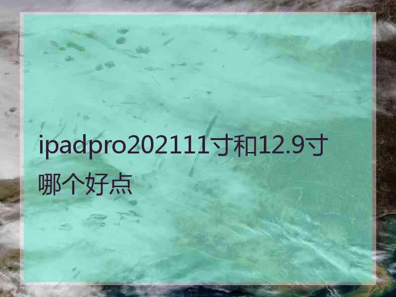 ipadpro202111寸和12.9寸哪个好点