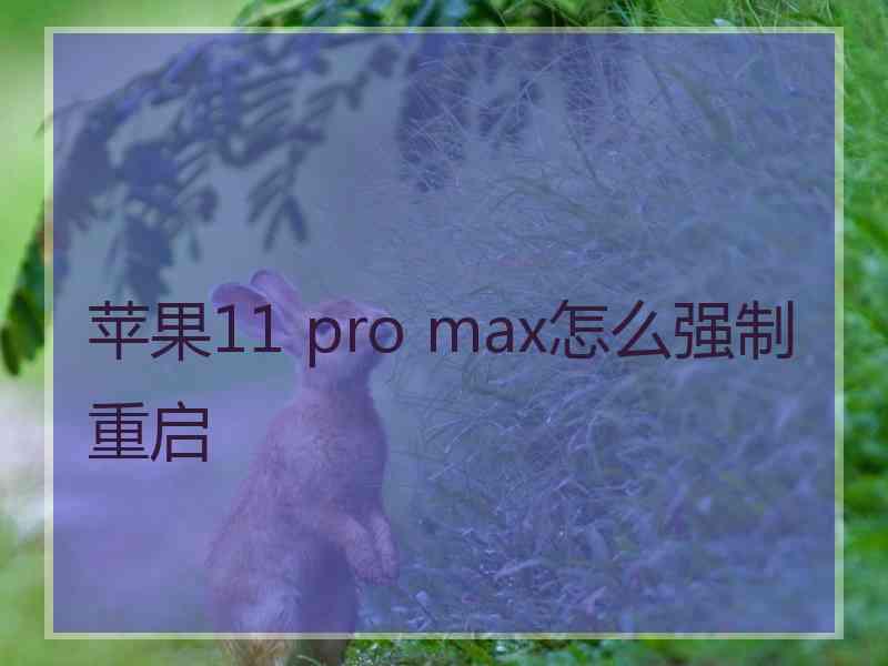 苹果11 pro max怎么强制重启