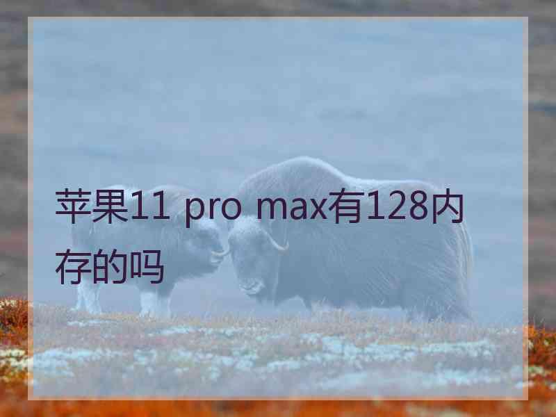 苹果11 pro max有128内存的吗