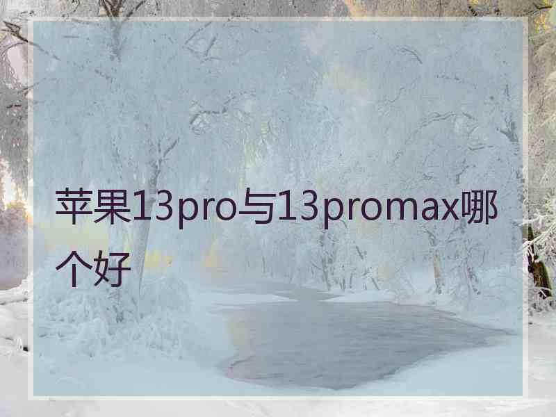 苹果13pro与13promax哪个好