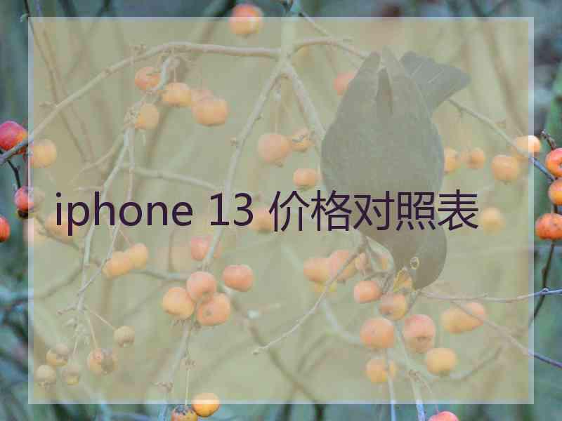 iphone 13 价格对照表