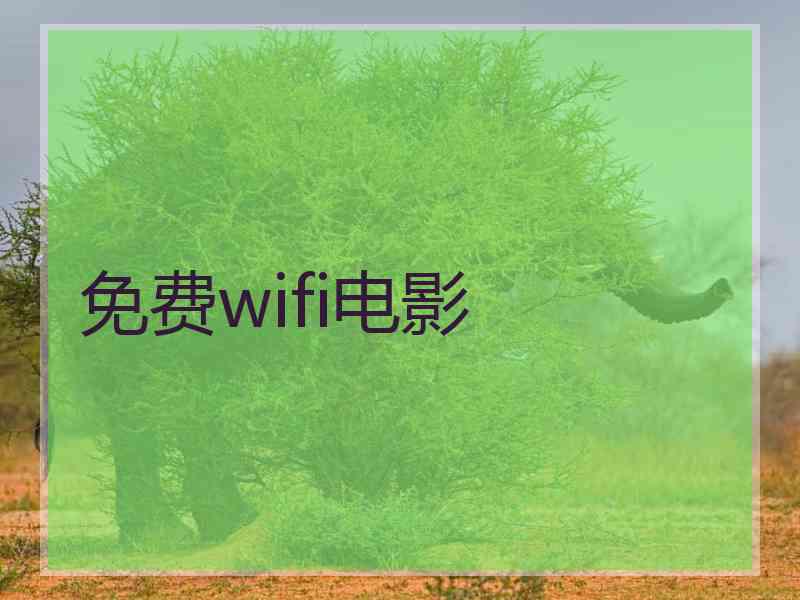 免费wifi电影