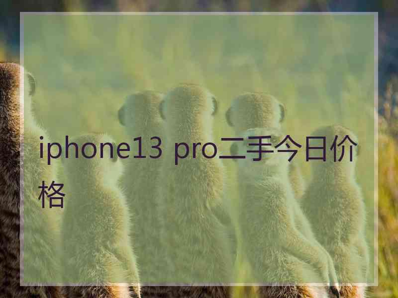 iphone13 pro二手今日价格