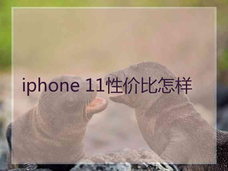 iphone 11性价比怎样