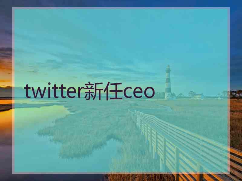 twitter新任ceo