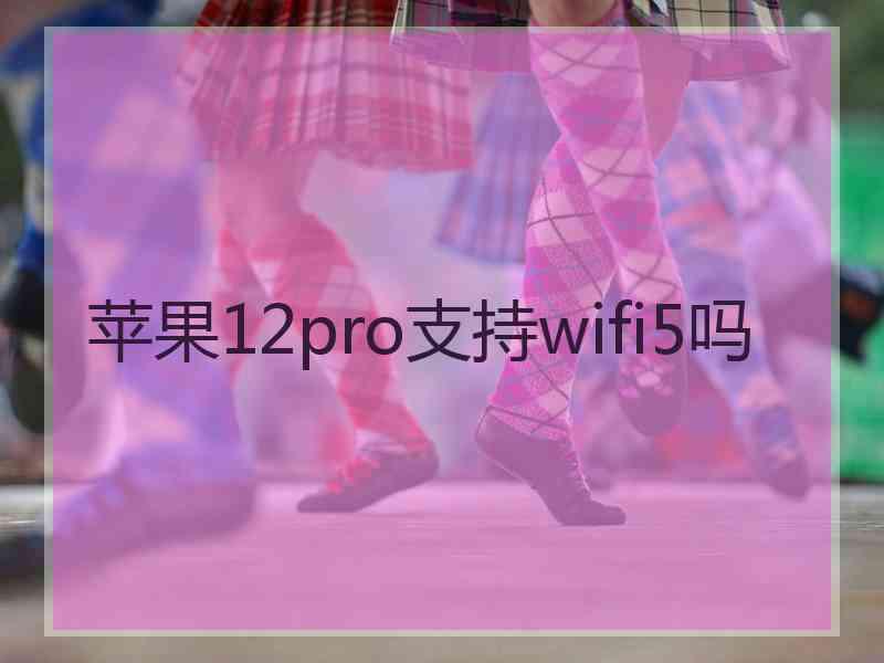 苹果12pro支持wifi5吗