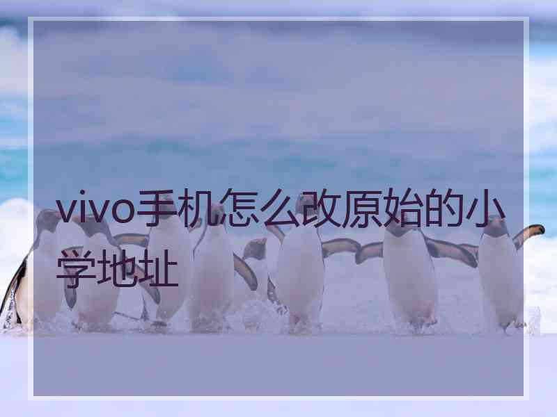 vivo手机怎么改原始的小学地址