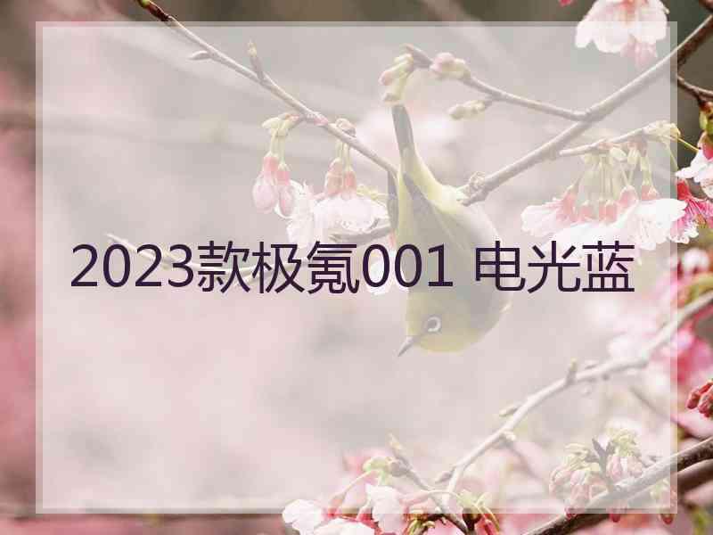 2023款极氪001 电光蓝