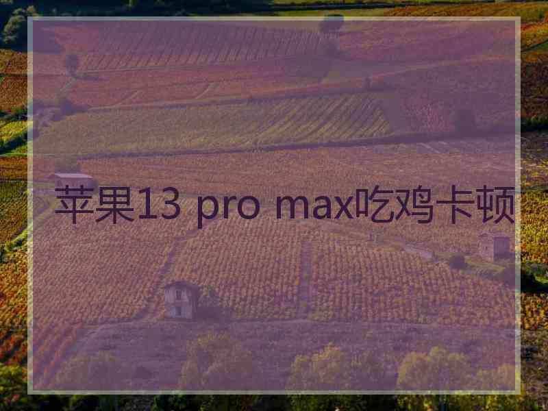 苹果13 pro max吃鸡卡顿