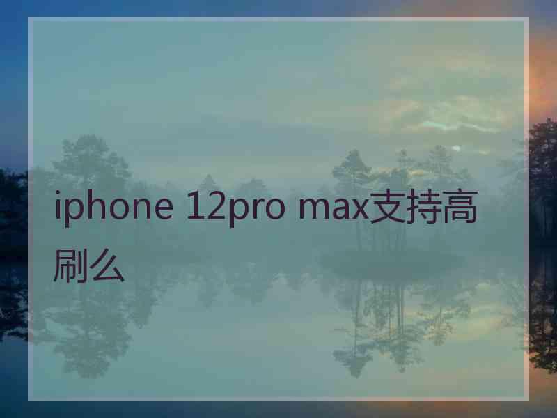 iphone 12pro max支持高刷么