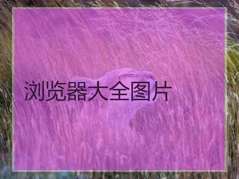 浏览器大全图片