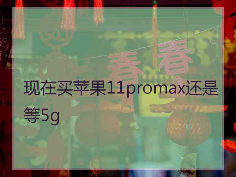 现在买苹果11promax还是等5g