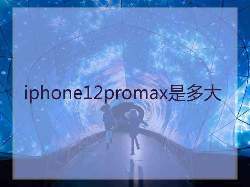 iphone12promax是多大