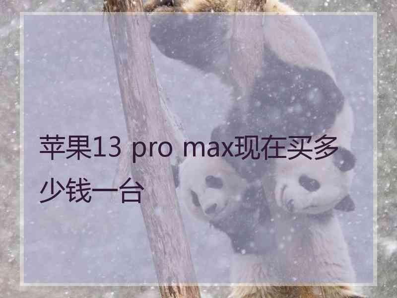 苹果13 pro max现在买多少钱一台